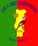CLUBE CANÁRIO ARLEQUIM PORTUGUÊS