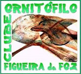 CLUBE ORNITOLÓGICO DA FIGUEIRA DA FOZ