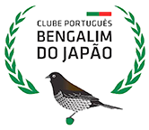 CLUBE PORTUGUÊS BENGALIM DO JAPÃO
